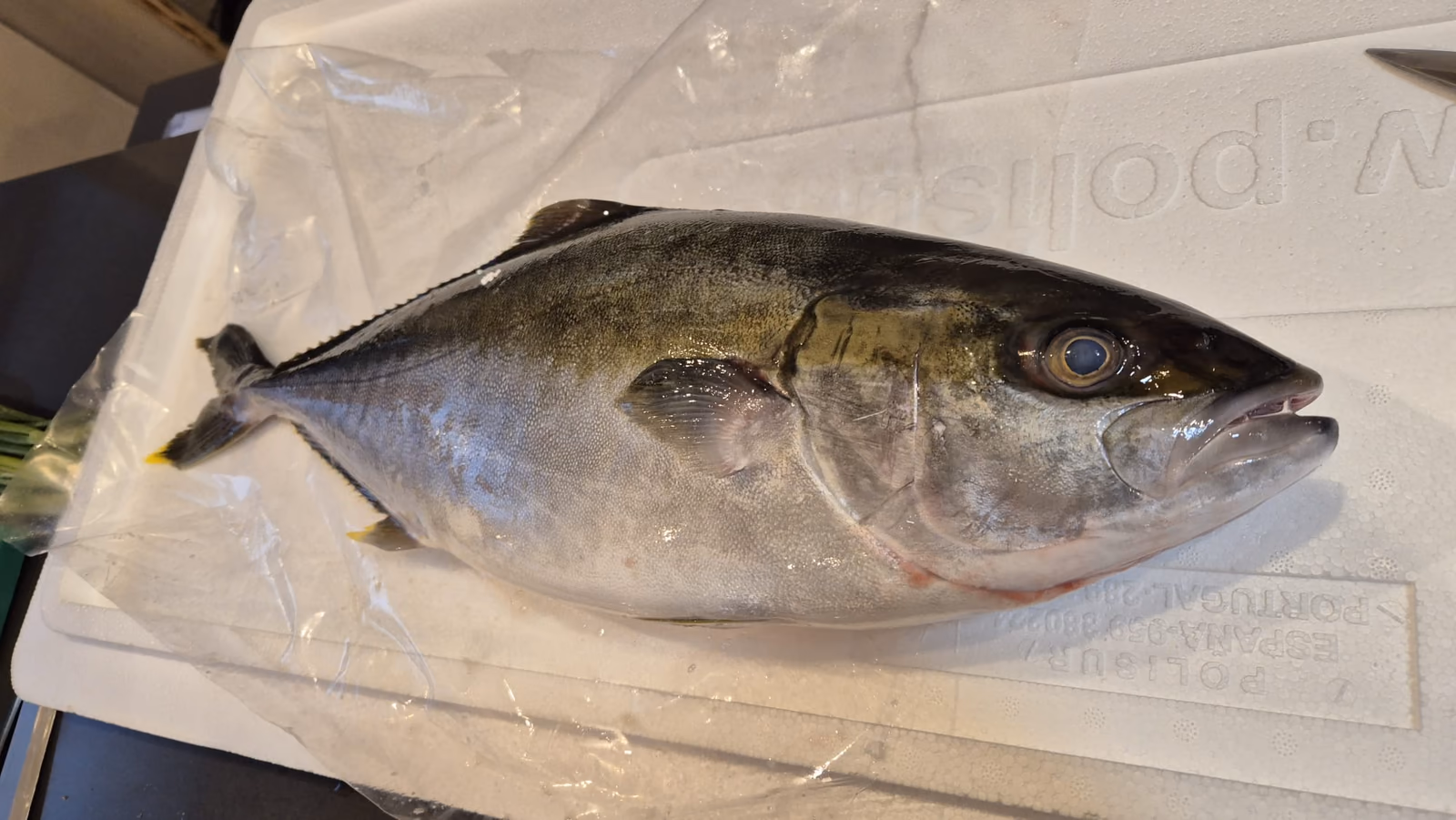 Un pescado fresco entero listo para preparar en sashimi en Hito